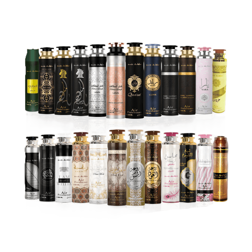 SALON SPREY DIRHAM DUBAI 300ML